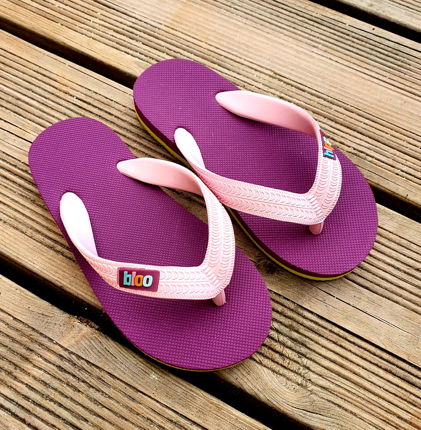 Hippobloo violet-vert anis