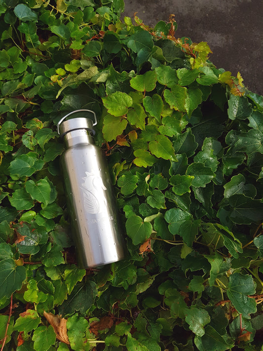 GOURDE THERMOS INOX 750 ml - Cerf Nature – ELEGANCE BY ESTHER